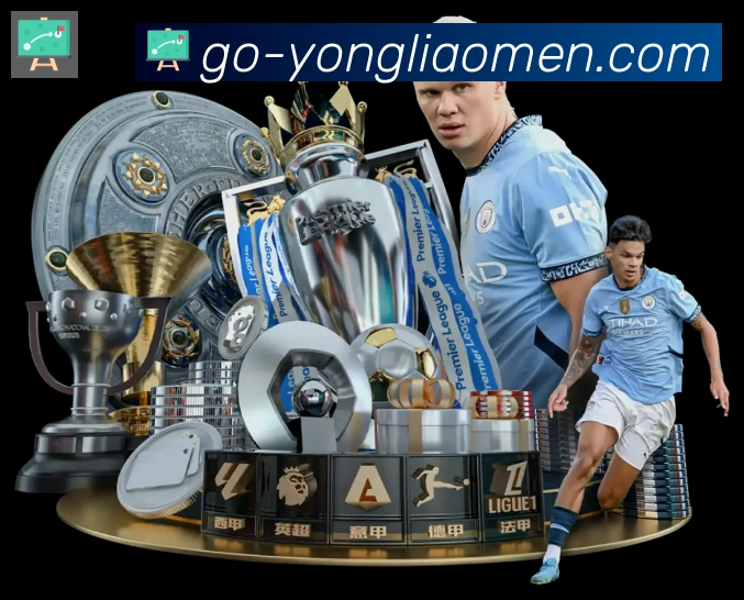 永利澳门官网官方平台荣誉
